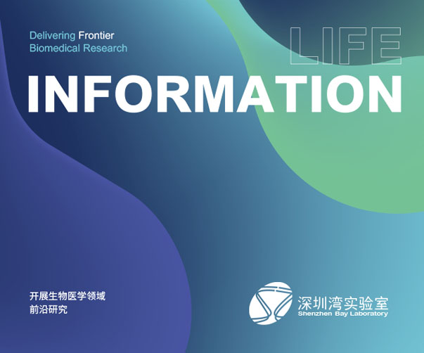 谷歌換新標了，你們呢？