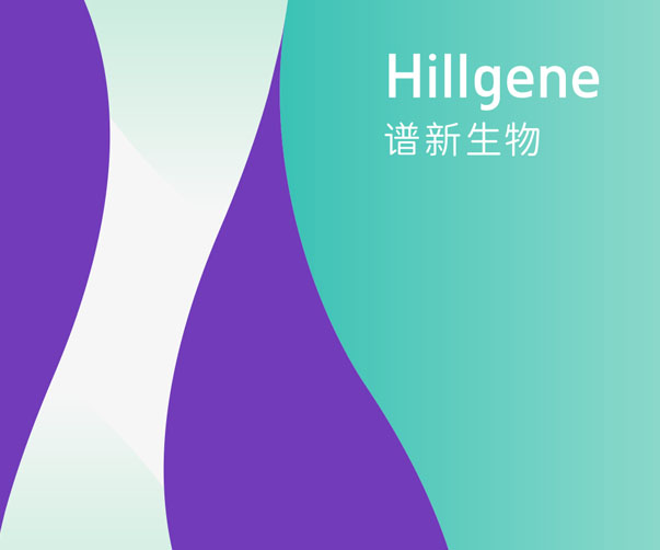 床墊品牌策劃：為功能性與科技感筑牢根基